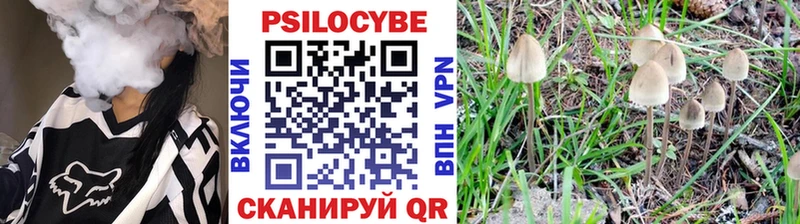 Купить где  Елизаветинская  Галлюциногенные грибы мухоморы 